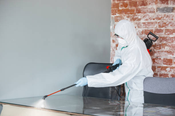 Best Crawl Space Mold Remediation  in Port Arthur, TX