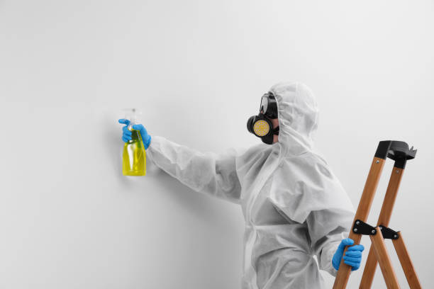 Trusted Port Arthur, TX Mold Removal Services Experts